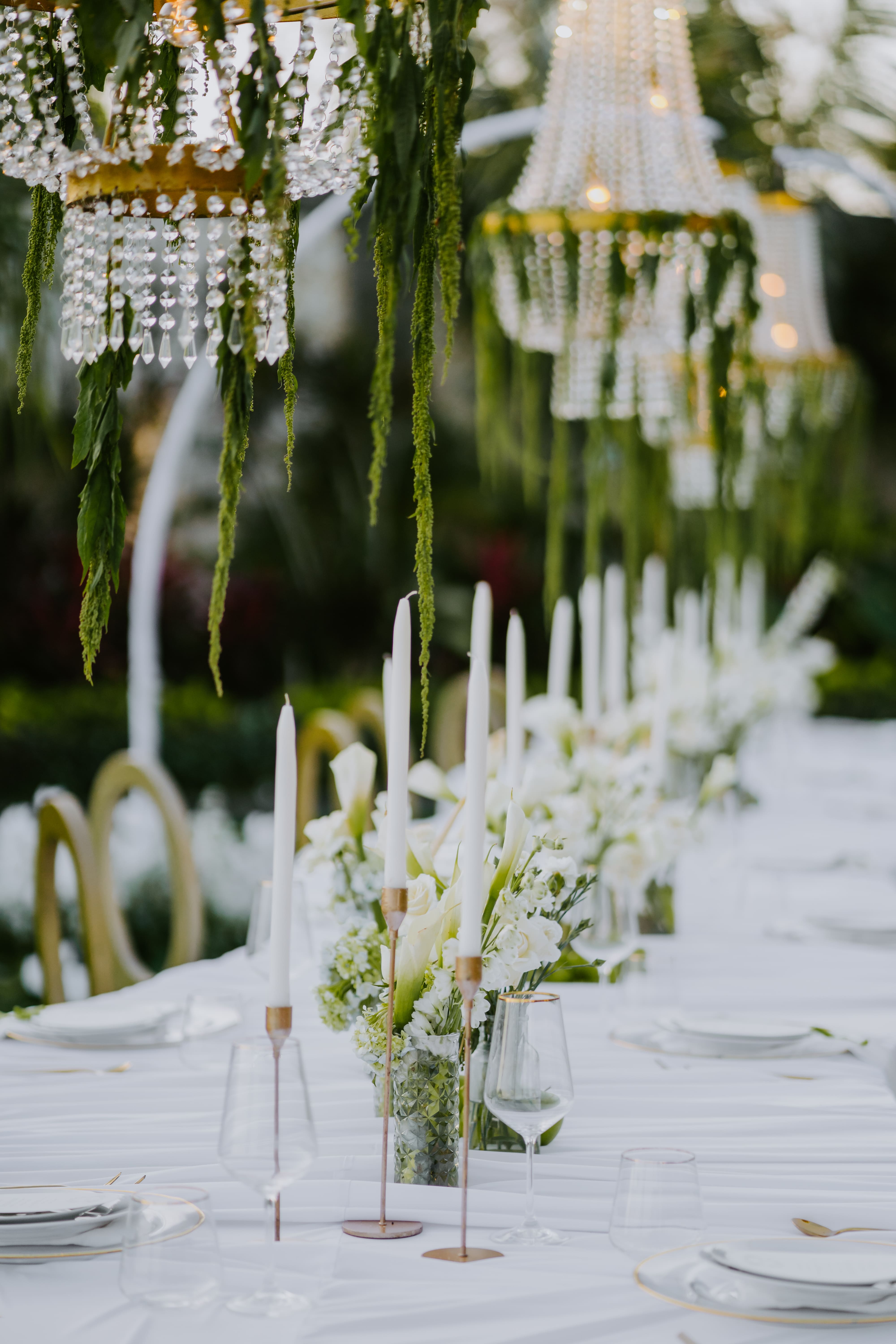 Blooming Trixy Florist & party Decoration - 7