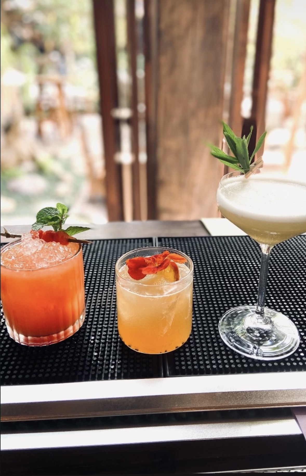 Paradise Bar - 8